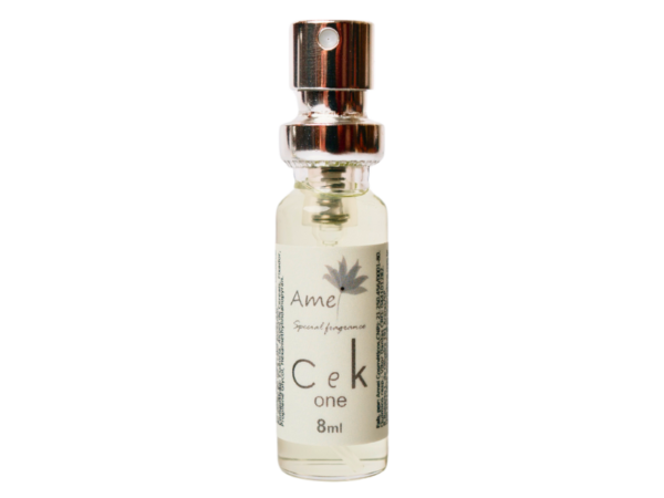 Perfume masculino CeK One - Mini
