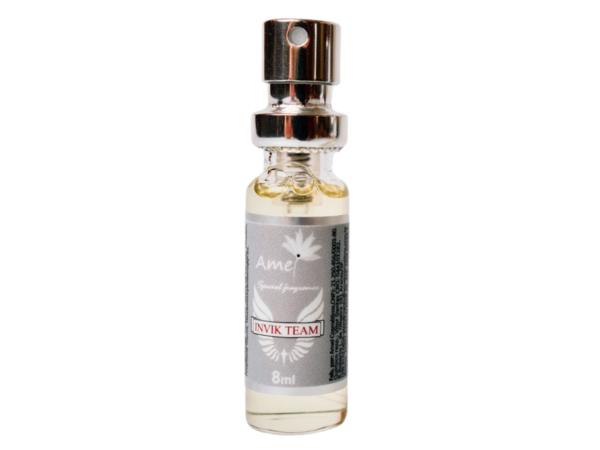 Perfume masculino Invik Team - Mini
