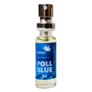 Perfume masculino Poll Blue - Mini