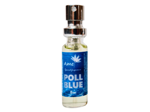 Perfume masculino Poll Blue - Mini