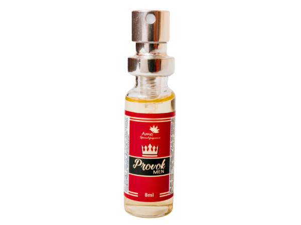 Perfume masculino Provok Men - Mini